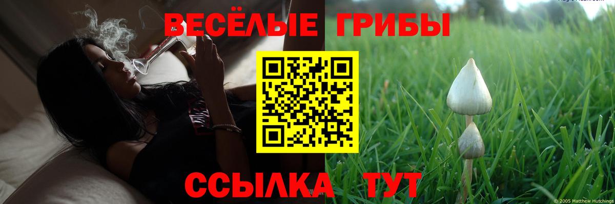 Псилоцибиновые грибы MAGIC MUSHROOMS Учалы